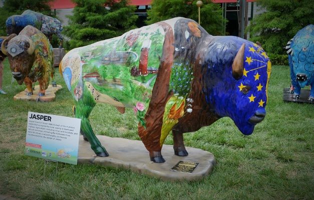 Hello, good bison